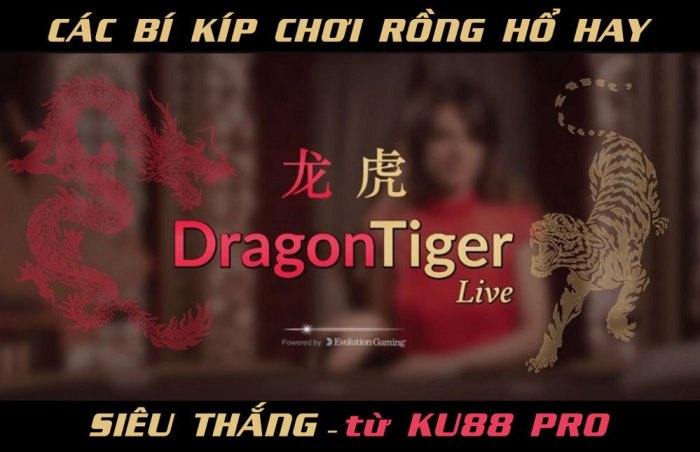 Các bí kíp rồng hổ siêu hay