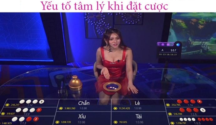 Chơi cá cược thabet