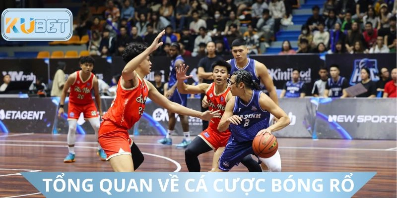 Khái quát về hình thức dự đoán bóng rổ