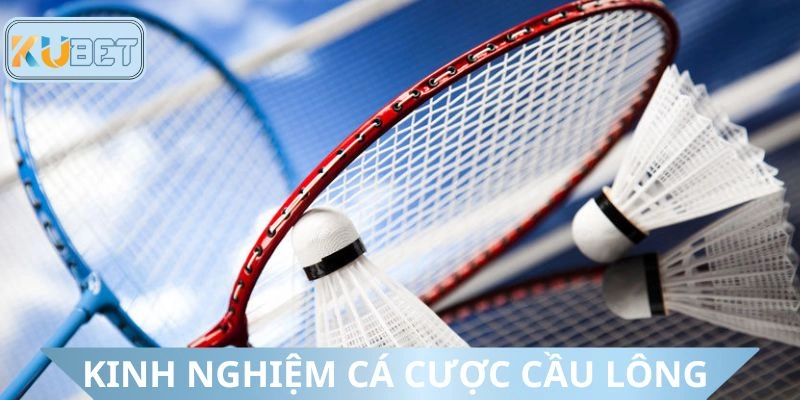 Chiến lược chinh phục cá cược cầu lông