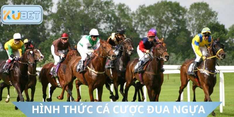 Các hình thức dự đoán đua ngựa hiện nay