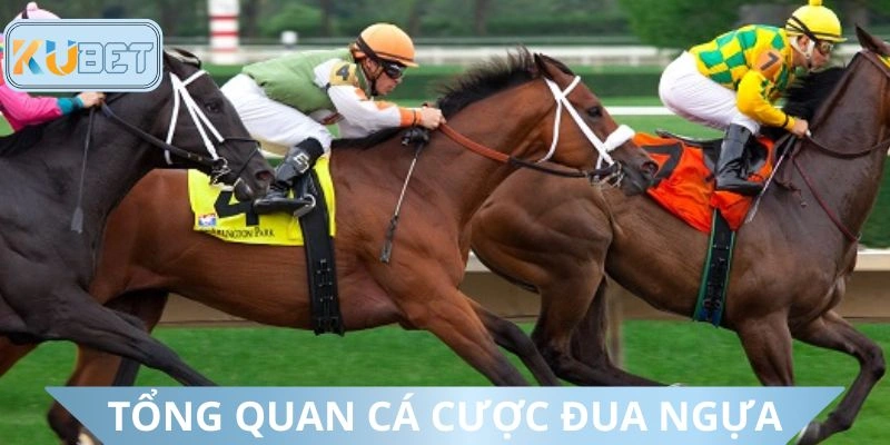 Khái quát về dự đoán đua ngựa
