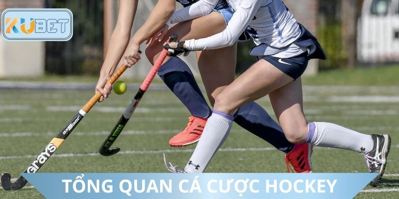 Khái quát về hình thức dự đoán khúc côn cầu