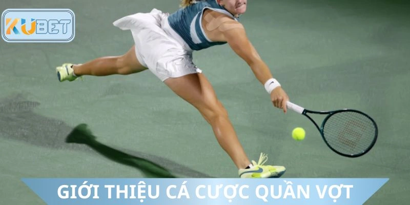 Khái quát về hình thức dự đoán quần vợt