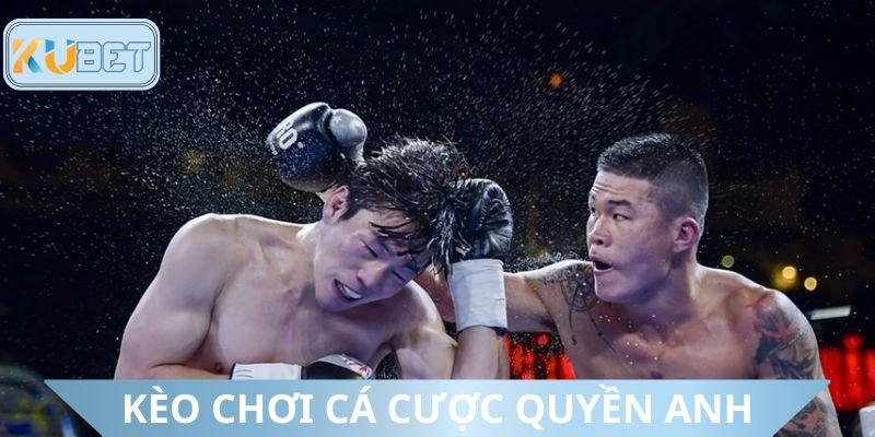 Các kèo chơi thường thấy trong dự đoán boxing 