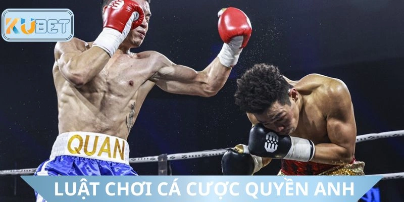 Nguyên tắc cơ bản cần nắm về cá cược quyền anh