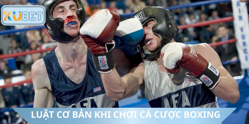 Chi tiết về luật chơi cá cược boxing
