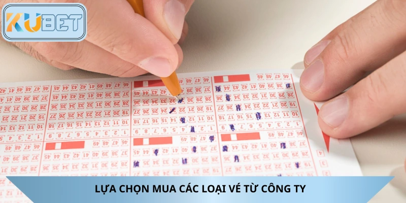 Lựa chọn mua vé tham gia trực tiếp từ công ty