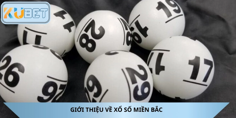 Tổng hợp thông tin xổ số miền Bắc